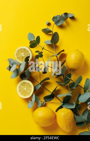 Beautiful eucalyptus branches and lemons on yellow background Stock Photo