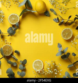 Eucalyptus branches, lemons and gypsophila on yellow background Stock Photo