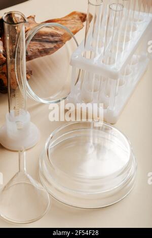 Laboratory glassware on color beige table. Chemical laboratory research. Empty transparent clean Scientific laboratory glassware for lab test. Stock Photo