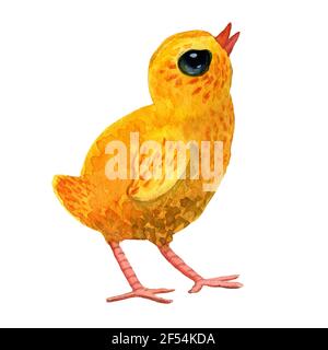 Watercolor hand drawn Yellow chicken stand and looks up in cartoon style isolated on white background. One bird illustration for easter, kids books, Stock Photo