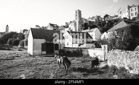 View of medieval city of Chateau-Landon and grazing horses. Seine-et-Marne department of Ile-de-France region, France. Rural tourism background. Black Stock Photo