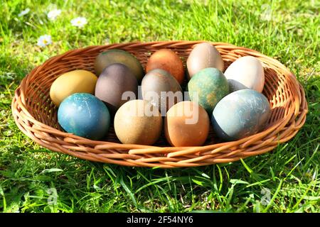Colorful Easter eggs in the basket on green grass. Natural dyed Easter eggs. Stock Photo