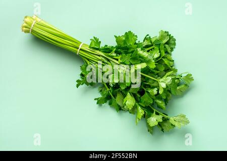 Bunch of celery leaves and stems isolated on light green background Top view Flat lay Diet, healthy eating, weight loss concept. Stock Photo