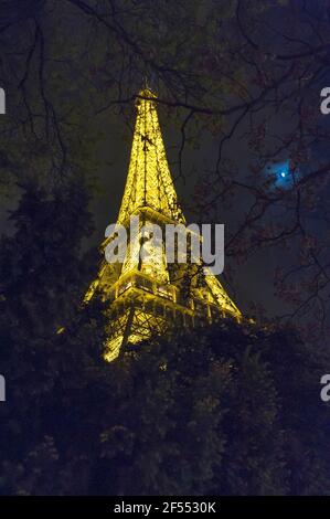 Eiffel tower seen through tree branches at night Stock Photo