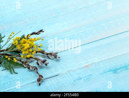 Mimosa and Verba on gray background. Branches of Mimosa and Verba on wooden background. Stock Photo