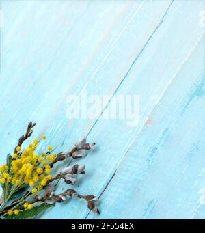 Mimosa and Verba on gray background. Branches of Mimosa and Verba on wooden background. Stock Photo