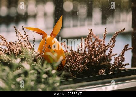Easter egg bunny looking inside dirty window. Easter is coming idea. Photo through window glass. Stock Photo