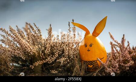Easter egg bunny looking inside window. Easter is coming idea. Wide banner. Stock Photo