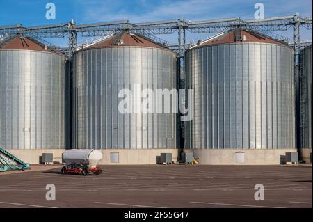 Large grain silos for storage in a modern flour production factory Stock Photo