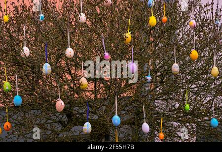 Easter tree decorated with colorful Easter eggs Stock Photo