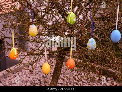 Easter tree decorated with colorful Easter eggs Stock Photo