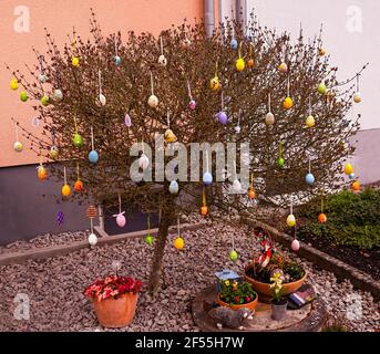 Easter tree decorated with colorful Easter eggs Stock Photo