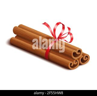 Realistic spices, cinnamon sticks with red bow isolated on white Stock Vector