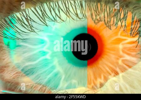 Digital composit of green eye  Stock Photo