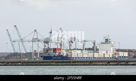 Ringaskiddy, Cork, Ireland. 24th March, 2021. After a ten day voyage from Costa Rico the container ship Maersk Nijmegen is about to tie up at the deepwater terminal in Ringaskiddy, Co. Cork, Ireland. - Credit; David Creedon / Alamy Live News Stock Photo