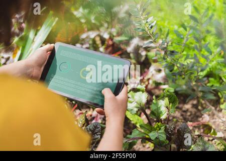 Woman reading plant information on digital tablet in garden Stock Photo