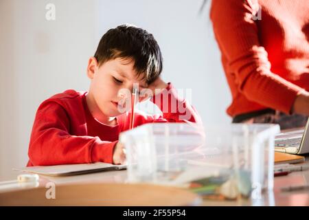 Boy studying while sitting by mother at dining table at home Stock Photo