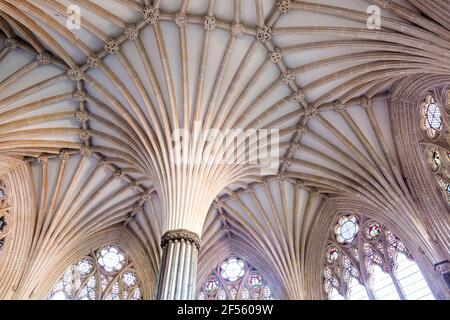 Early 14th century vaulting in the Decorated style in the Chapter House at Wells Cathedral, Wells, Somerset UK Stock Photo