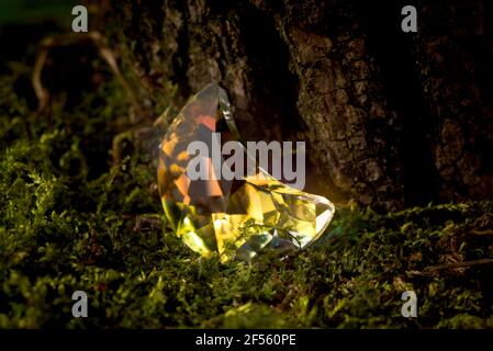 Crystal moon on the forest moss. Fairy forest background Stock Photo