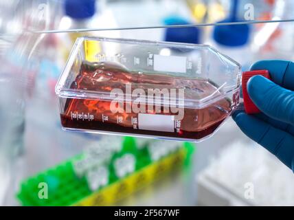 Scientist holding jar containing blood cells while doing experiment in laboratory Stock Photo