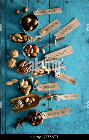 Various nuts in bowls and on spoons, Brazil nut, almonds, macadamia, walnut, pistachio, peanut, cashew, hazelnut with labels on rustic wooden background Stock Photo