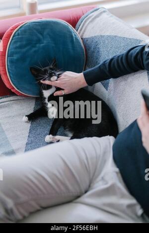 Man stroking cat while sitting on sofa at home Stock Photo