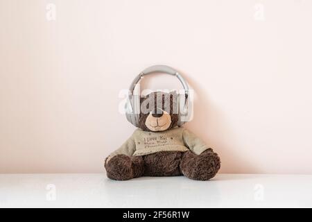 Teddy bear hot sale with audio