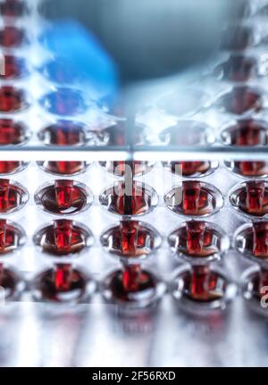 Blood samples for medical test in lab Stock Photo