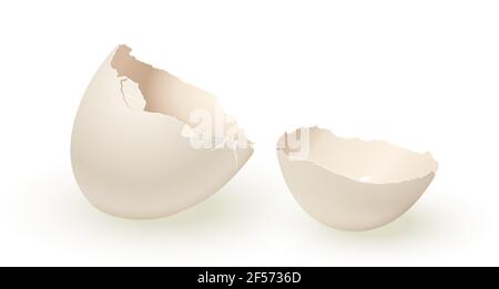 Broken empty eggshell isolated on white background. Vector realistic white egg Stock Vector