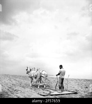 Farmer working in Field, Submarginal Area of Rumsey Hill, near Erin, New York, USA, Jack Delano, U.S. Farm Security Administration, September 1940 Stock Photo