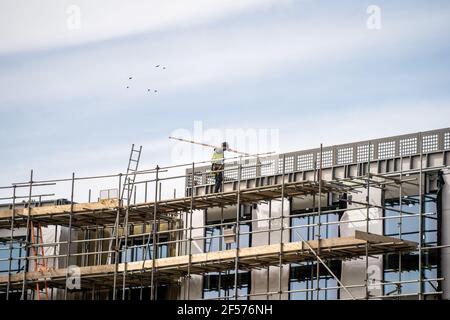 scaffolder in PPE erecting framework of wooden planks and tall scaffolding poles high up on modern new building construction site. Professional danger Stock Photo