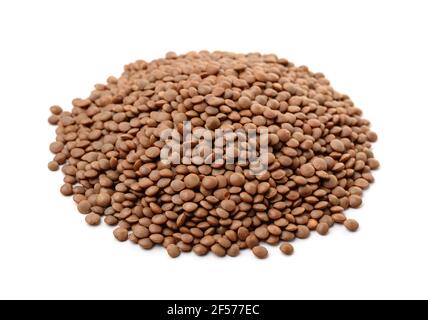 Pile of dry brown lentils isolated on white Stock Photo