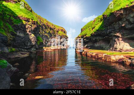 Beautiful view of dock with clear water and red seaweed Stock Photo