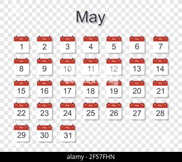 Monthly calendar template for May with daily date. On transparent background. Flat style. Vector illustration. Stock Vector