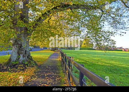 Green park in Adare, County Limerick, Ireland Stock Photo
