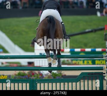 equestrian show jumper horse shot from behind with horses hind legs clearing green fence rails and hooves horse shoes and hocks visible in competition Stock Photo