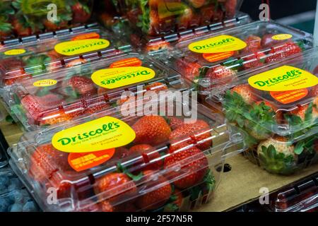 Driscoll's brand Mexico grown strawberries at a fruit stand in New York on Thursday, March 18, 2021.  (© Richard B. Levine)