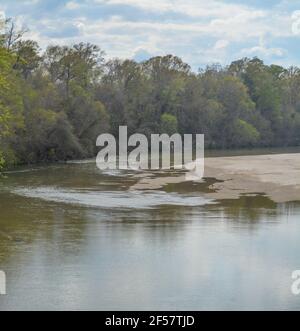 The Homochitto River flowing peacefully through the forest in Franklin ...