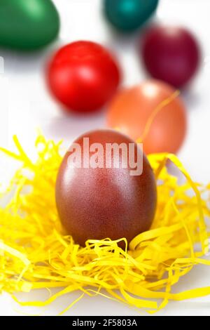 Free-range eggs colorfully eggs painted for Easter Stock Photo