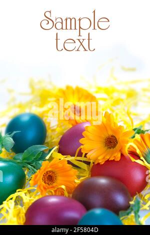 Free-range eggs colorfully eggs painted for Easter Stock Photo