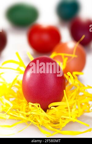 Traditional colored eggs Stock Photo