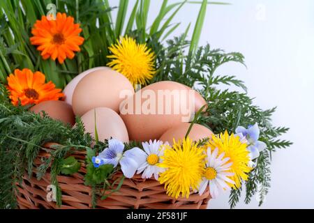 Eggs in a basket with spring plants and flowers Stock Photo