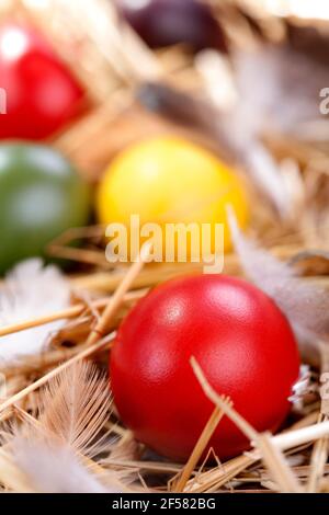 Colourful traditional painted Easter eggs in the straw Stock Photo