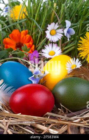 Colourful traditionally painted Easter eggs in the grass and flowers Stock Photo