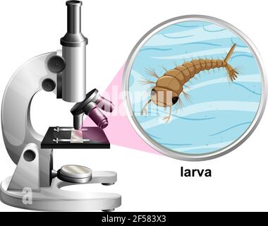 Microscope with larva mosquito on white background illustration Stock Vector