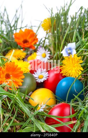 Colourful traditionally painted Easter eggs in the grass and flowers Stock Photo