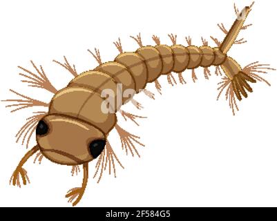 Mosquito larva isolated on white background illustration Stock Vector