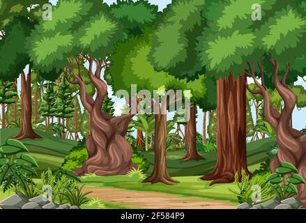 Forest scene with hiking track and many trees Stock Vector Image & Art ...