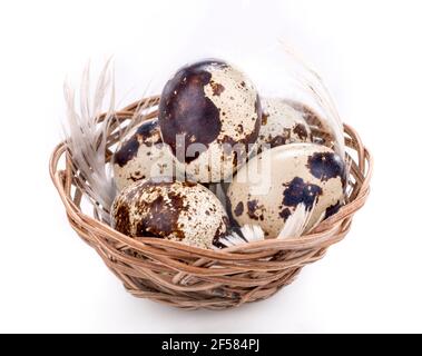 quail eggs in bowl isolated on white background Stock Photo