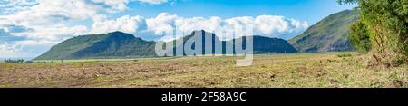 panorama of harvested sugarcane field with mountain and blue sky background. Stock Photo